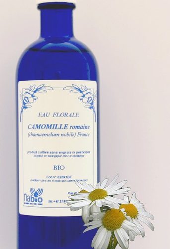 Camomille matricaire Bio - 200ml, 1000ml