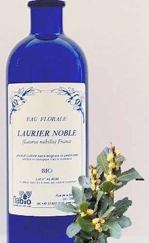 Laurier noble Bio - 200ml, 1000ml