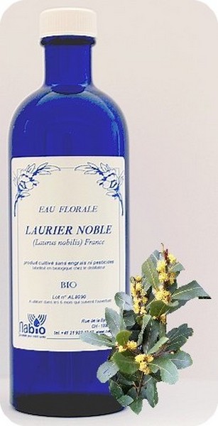 Laurier noble Bio - 200ml, 1000ml 2 Laurier noble Bio - 200ml, 1000ml