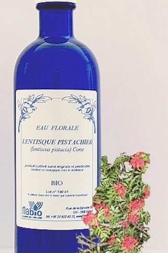 Lentisque pistachier Bio - 200ml, 1000ml