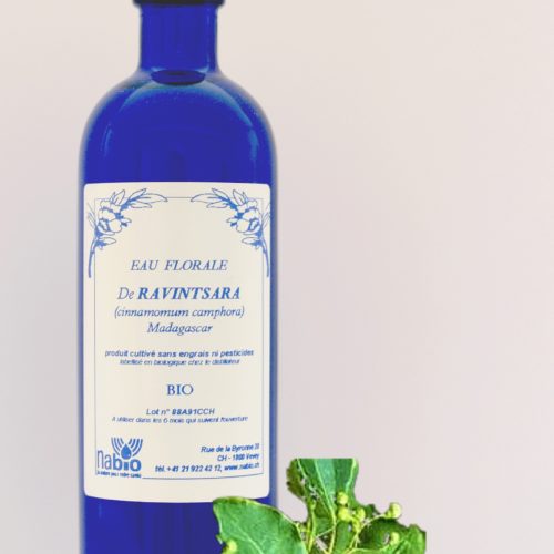 Ravintsara Bio Equ - en 200ml, 1000ml