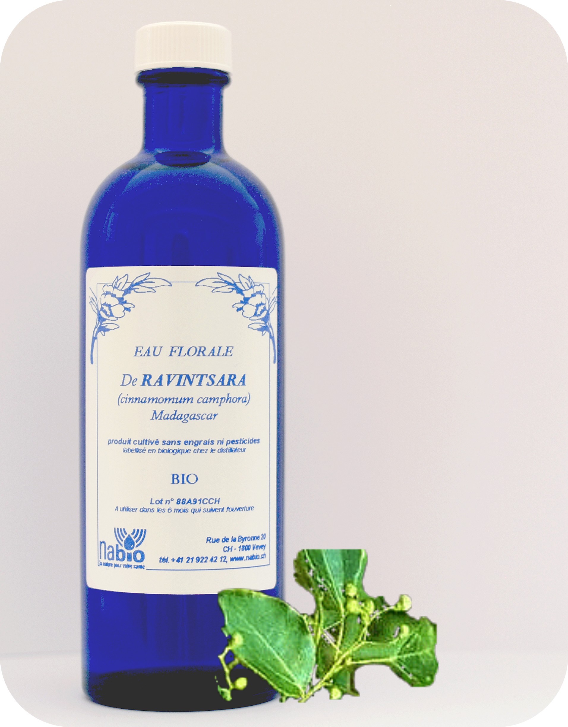 Ravintsara Bio Equ - en 200ml, 1000ml 2 Ravintsara Bio Equ - en 200ml, 1000ml