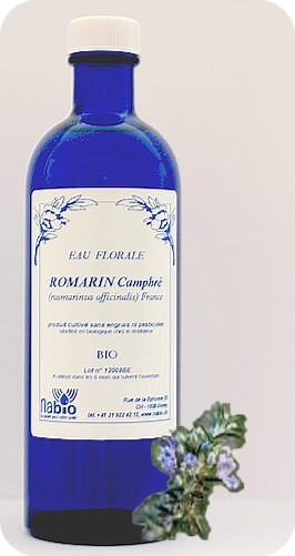 Romarin officinal camphré Bio - 200ml, 1000ml