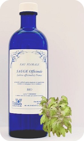 Sauge officinale Bio - 200ml, 1000ml