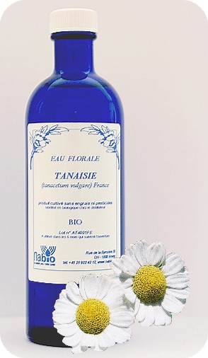 Tanaisie (Camomille bleue) Bio - 200ml, 1000ml 2 Tanaisie (Camomille bleue) Bio - 200ml, 1000ml